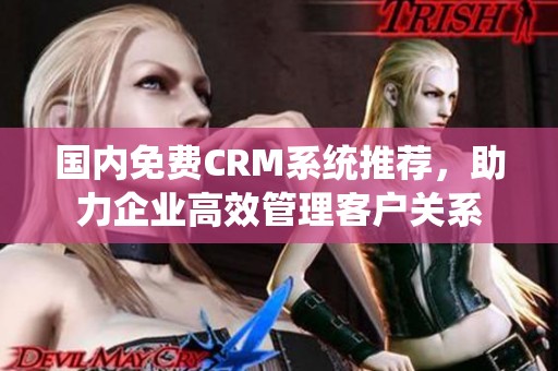 国内免费CRM系统推荐，助力企业高效管理客户关系