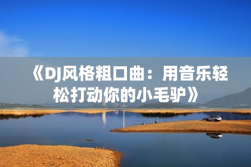 《DJ风格粗口曲：用音乐轻松打动你的小毛驴》