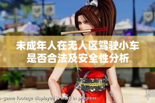 未成年人在无人区驾驶小车是否合法及安全性分析