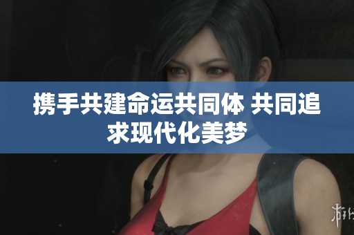 携手共建命运共同体 共同追求现代化美梦
