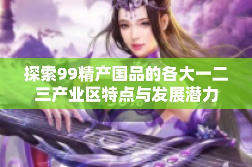 探索99精产国品的各大一二三产业区特点与发展潜力