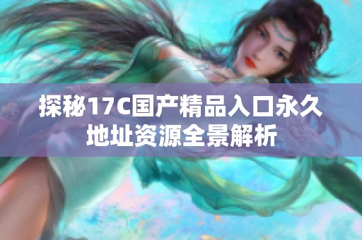 探秘17C国产精品入口永久地址资源全景解析