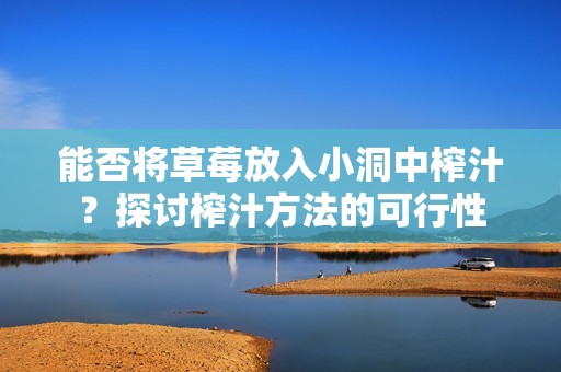 能否将草莓放入小洞中榨汁？探讨榨汁方法的可行性