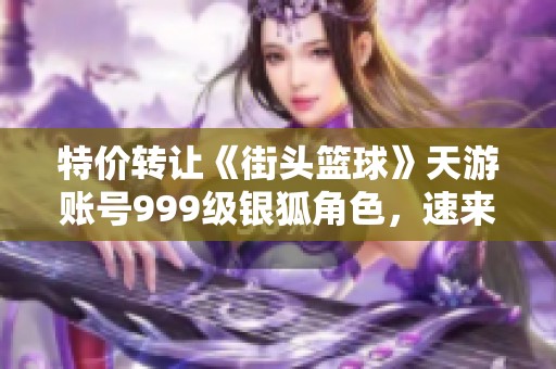 特价转让《街头篮球》天游账号999级银狐角色，速来抢购！