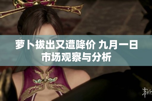 萝卜拔出又遭降价 九月一日市场观察与分析