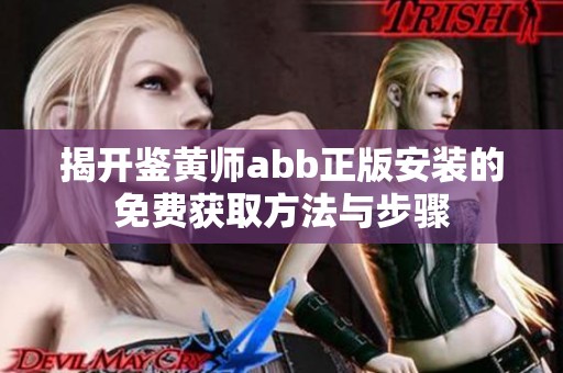 揭开鉴黄师abb正版安装的免费获取方法与步骤