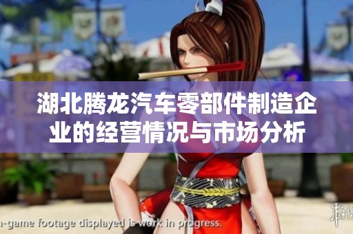湖北腾龙汽车零部件制造企业的经营情况与市场分析