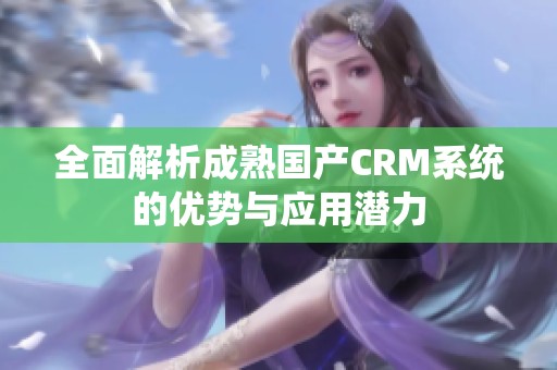 全面解析成熟国产CRM系统的优势与应用潜力