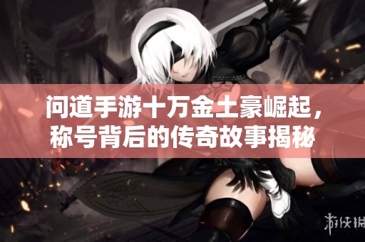 问道手游十万金土豪崛起，称号背后的传奇故事揭秘