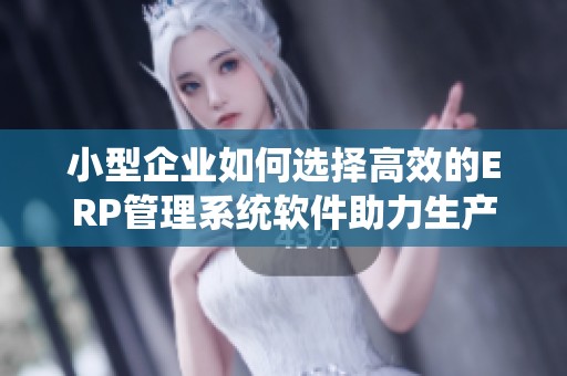 小型企业如何选择高效的ERP管理系统软件助力生产运营