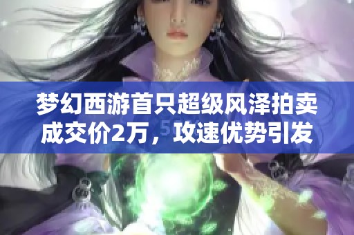 梦幻西游首只超级风泽拍卖成交价2万，攻速优势引发抢购热潮