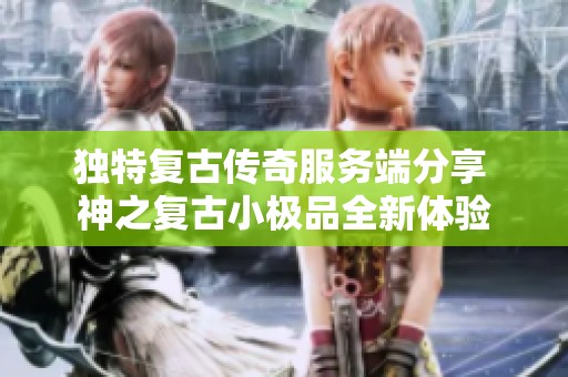 独特复古传奇服务端分享 神之复古小极品全新体验