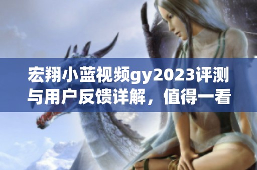 宏翔小蓝视频gy2023评测与用户反馈详解，值得一看！