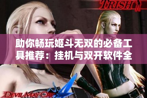 助你畅玩姬斗无双的必备工具推荐：挂机与双开软件全攻略