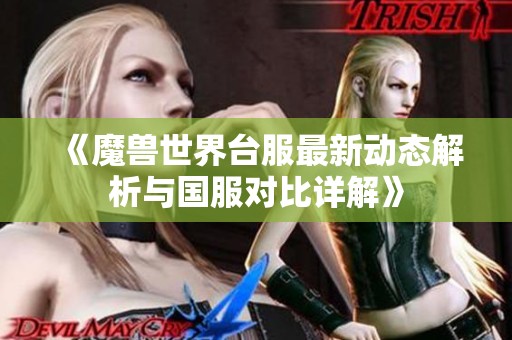 《魔兽世界台服最新动态解析与国服对比详解》