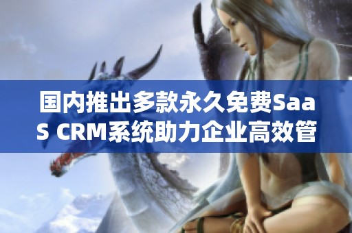 国内推出多款永久免费SaaS CRM系统助力企业高效管理客户关系