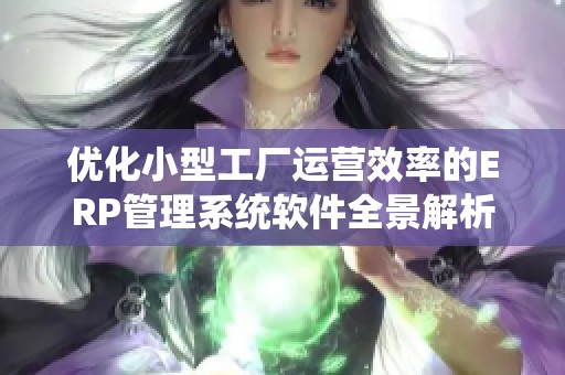优化小型工厂运营效率的ERP管理系统软件全景解析