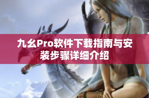 九幺Pro软件下载指南与安装步骤详细介绍