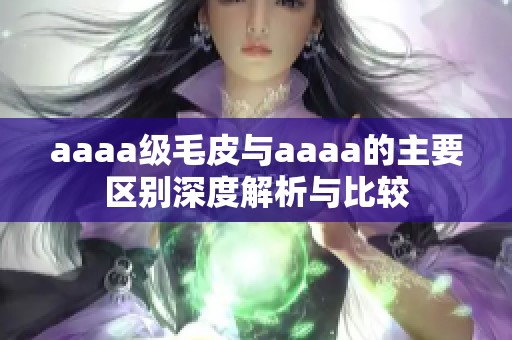 aaaa级毛皮与aaaa的主要区别深度解析与比较