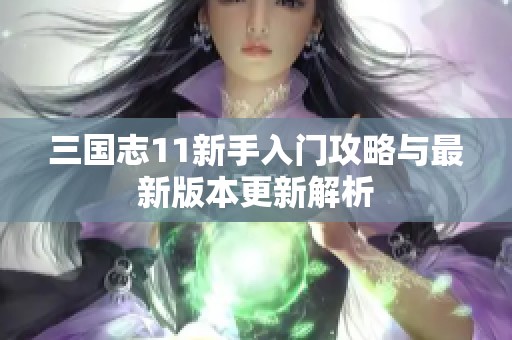 三国志11新手入门攻略与最新版本更新解析