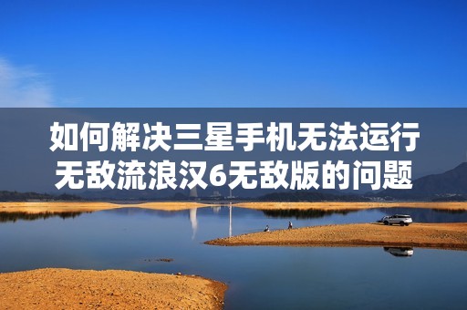 如何解决三星手机无法运行无敌流浪汉6无敌版的问题