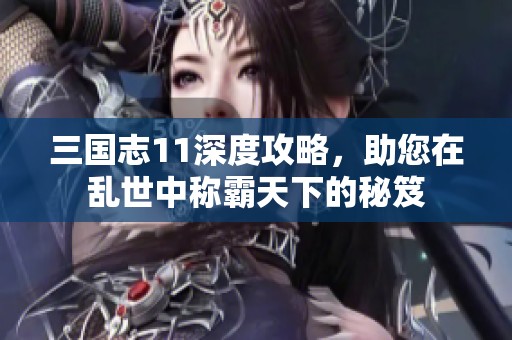 三国志11深度攻略，助您在乱世中称霸天下的秘笈