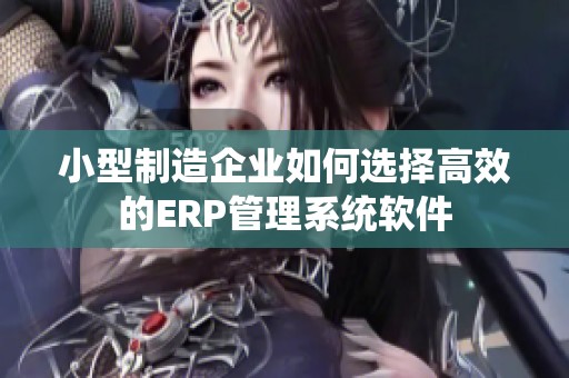 小型制造企业如何选择高效的ERP管理系统软件