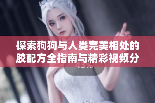 探索狗狗与人类完美相处的胶配方全指南与精彩视频分享