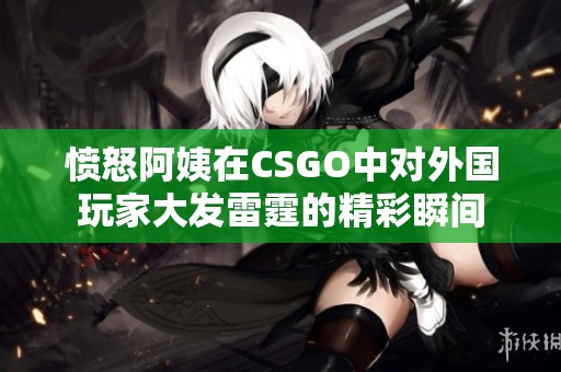 愤怒阿姨在CSGO中对外国玩家大发雷霆的精彩瞬间