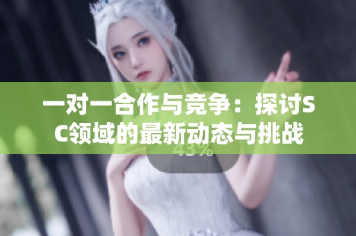 一对一合作与竞争：探讨SC领域的最新动态与挑战