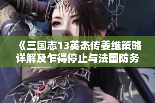 《三国志13英杰传姜维策略详解及乍得停止与法国防务合作的深度分析》