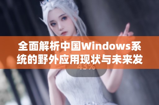 全面解析中国Windows系统的野外应用现状与未来发展趋势