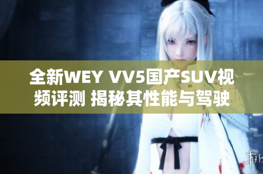 全新WEY VV5国产SUV视频评测 揭秘其性能与驾驶体验