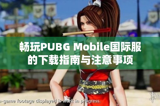 畅玩PUBG Mobile国际服的下载指南与注意事项