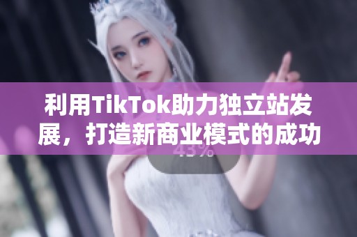 利用TikTok助力独立站发展，打造新商业模式的成功之路