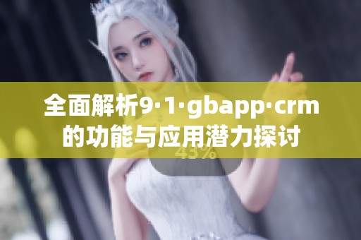 全面解析9·1·gbapp·crm的功能与应用潜力探讨