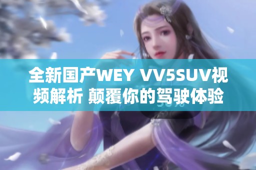 全新国产WEY VV5SUV视频解析 颠覆你的驾驶体验