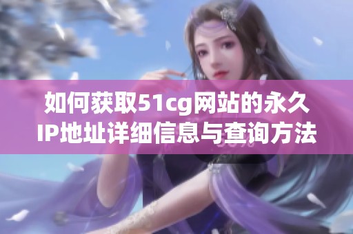 如何获取51cg网站的永久IP地址详细信息与查询方法