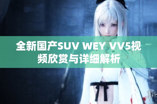 全新国产SUV WEY VV5视频欣赏与详细解析