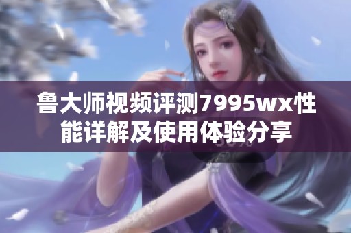 鲁大师视频评测7995wx性能详解及使用体验分享