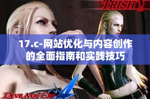 17.c-网站优化与内容创作的全面指南和实践技巧