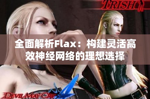 全面解析Flax：构建灵活高效神经网络的理想选择