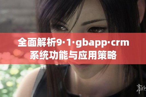 全面解析9·1·gbapp·crm系统功能与应用策略