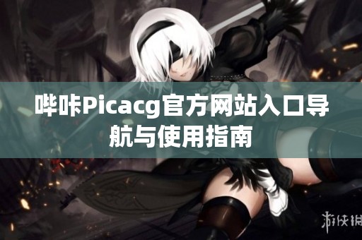 哔咔Picacg官方网站入口导航与使用指南