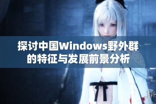 探讨中国Windows野外群的特征与发展前景分析