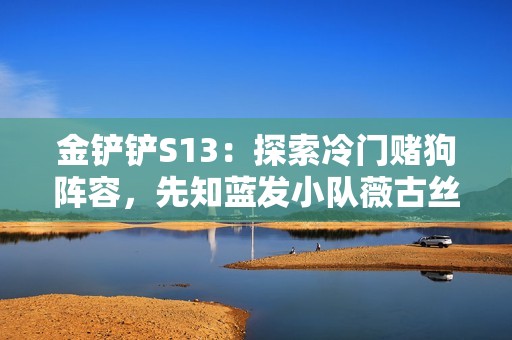 金铲铲S13：探索冷门赌狗阵容，先知蓝发小队薇古丝实力解析